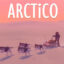 Arctico Build 18929546 Download